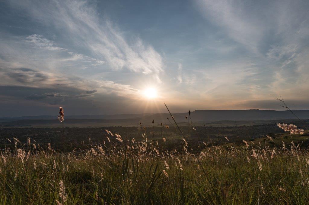 End of the day - Image 2