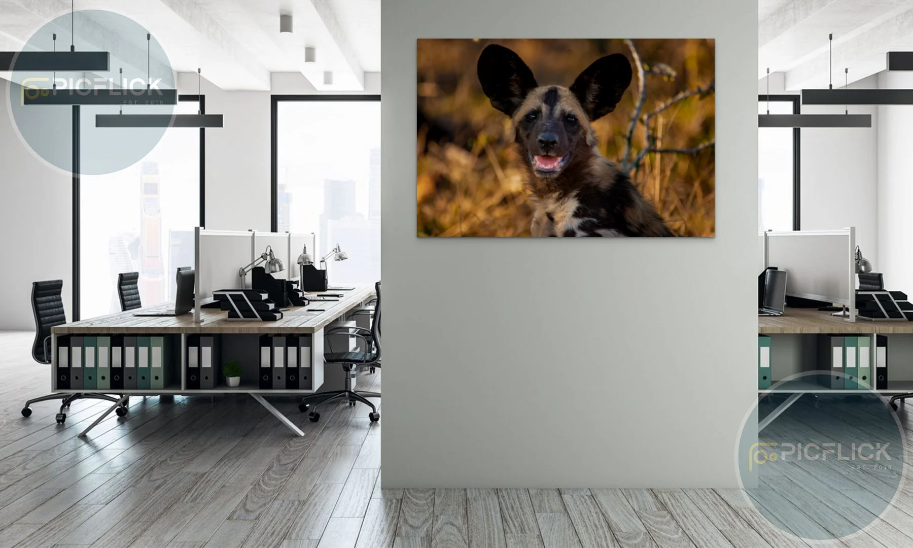 Wild dog puppy